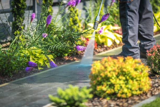 Best Pool Deck Cleaning  in Issaquah, WA