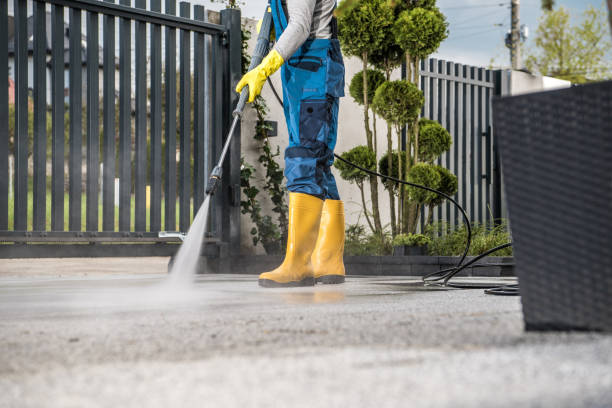 Solar Panel Cleaning in Issaquah, WA